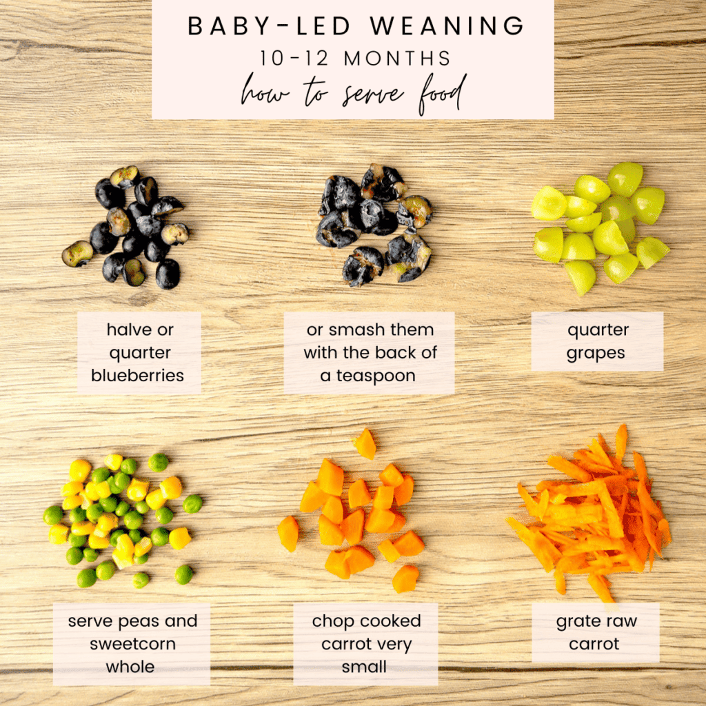 Baby-Led Weaning How to Serve Food to a 10 to 12 month old