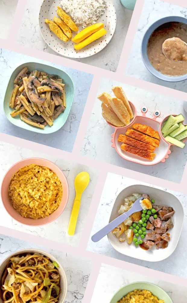 Baby friendly family meals - family cooking