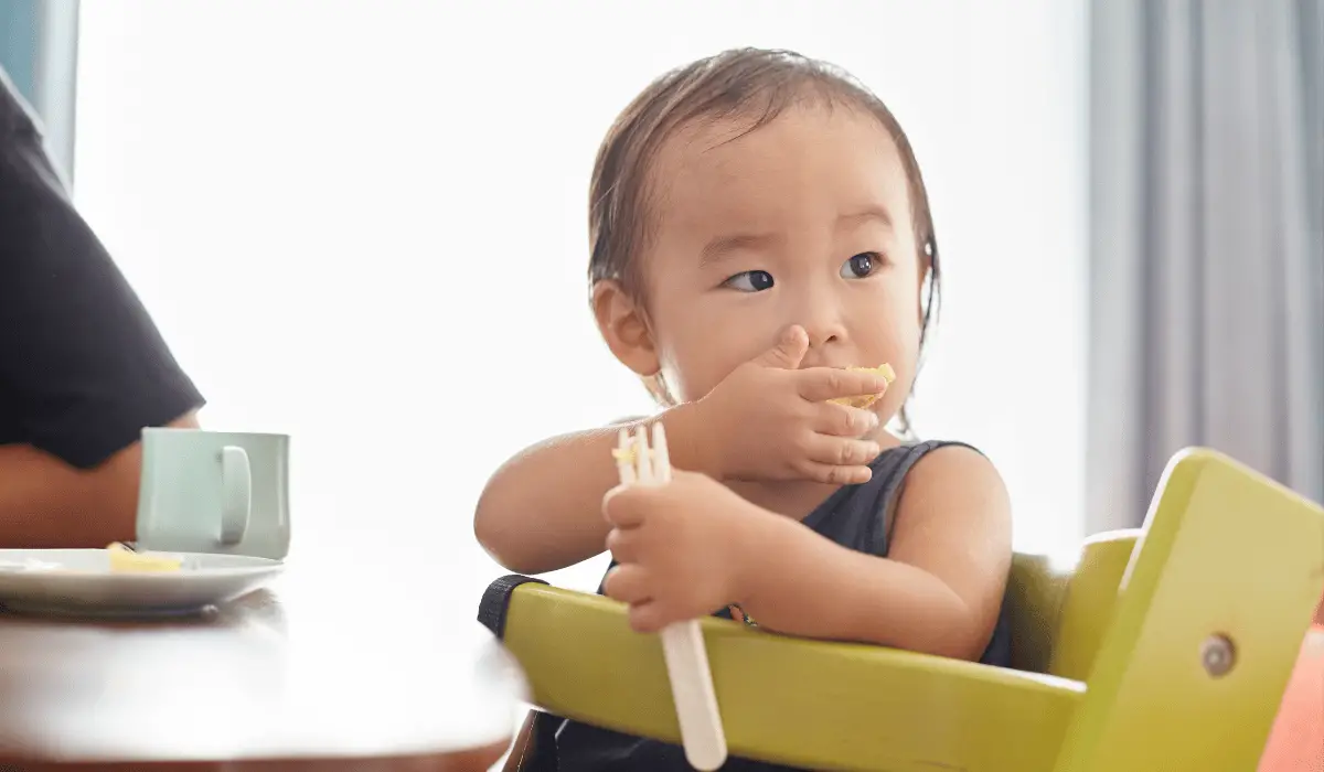 Baby eating - weaning on family meals course