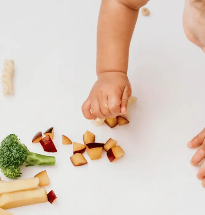 Baby-led weaning Baby