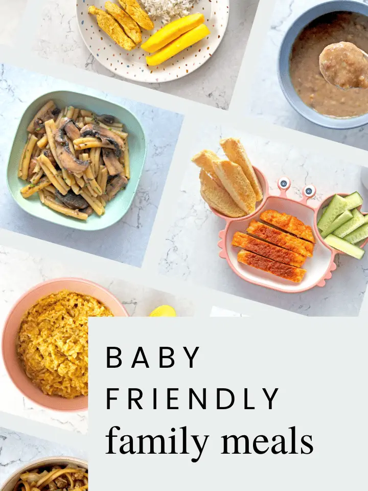 Baby Friendly Family Meals
