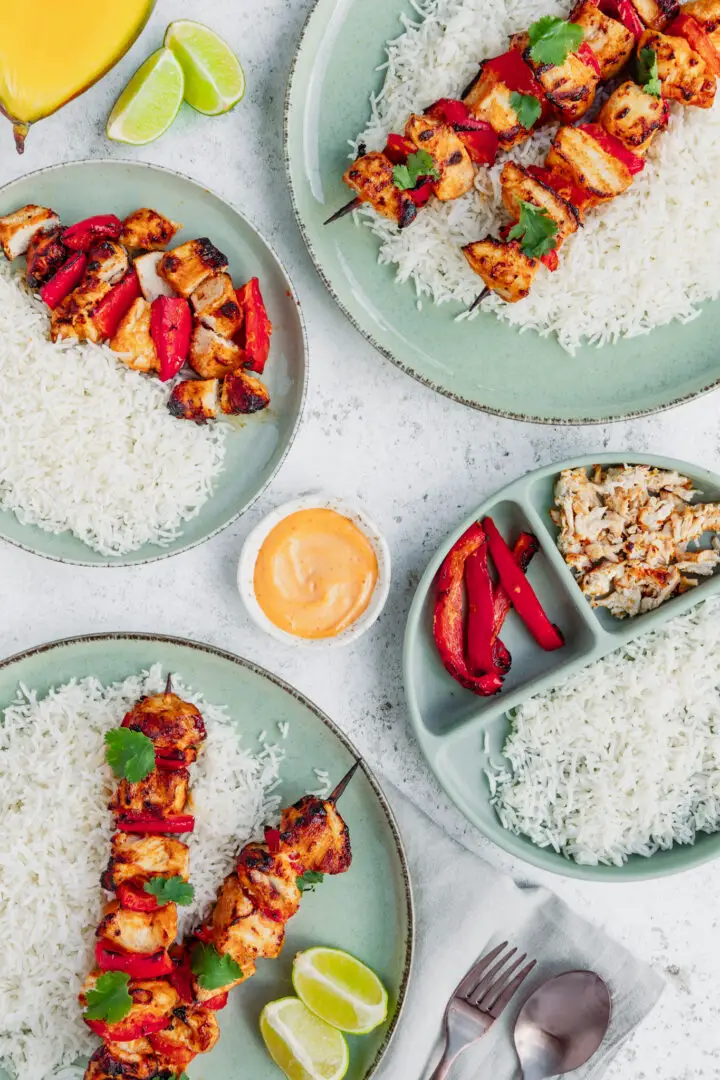 Family meals suitable for baby weaning - family barbecue recipes - family air fryer recipes
