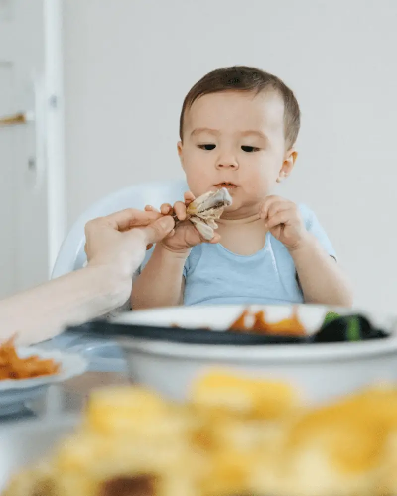 Weaning baby with family meals community