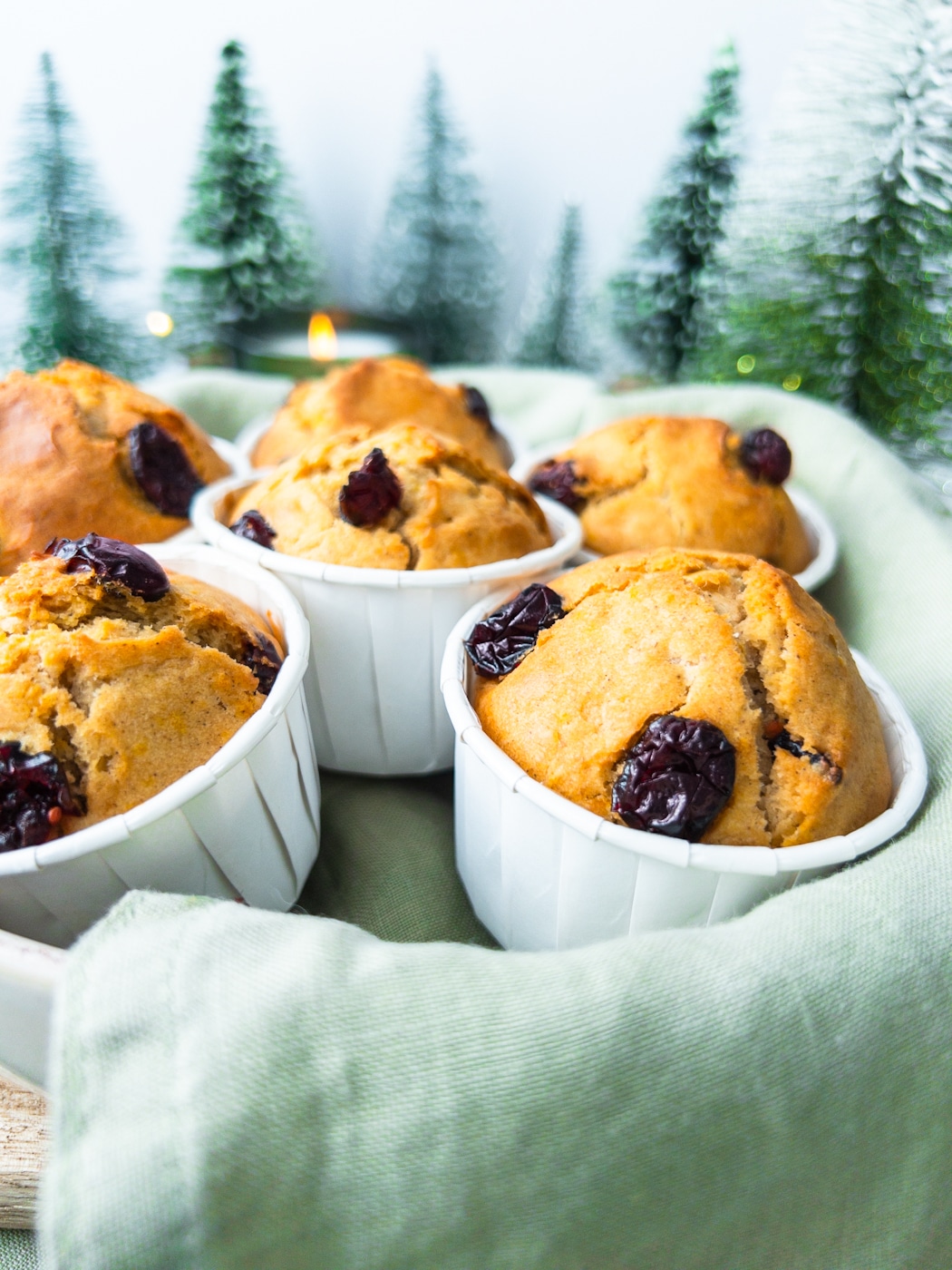 Orange and Cranberry Muffins Recipe