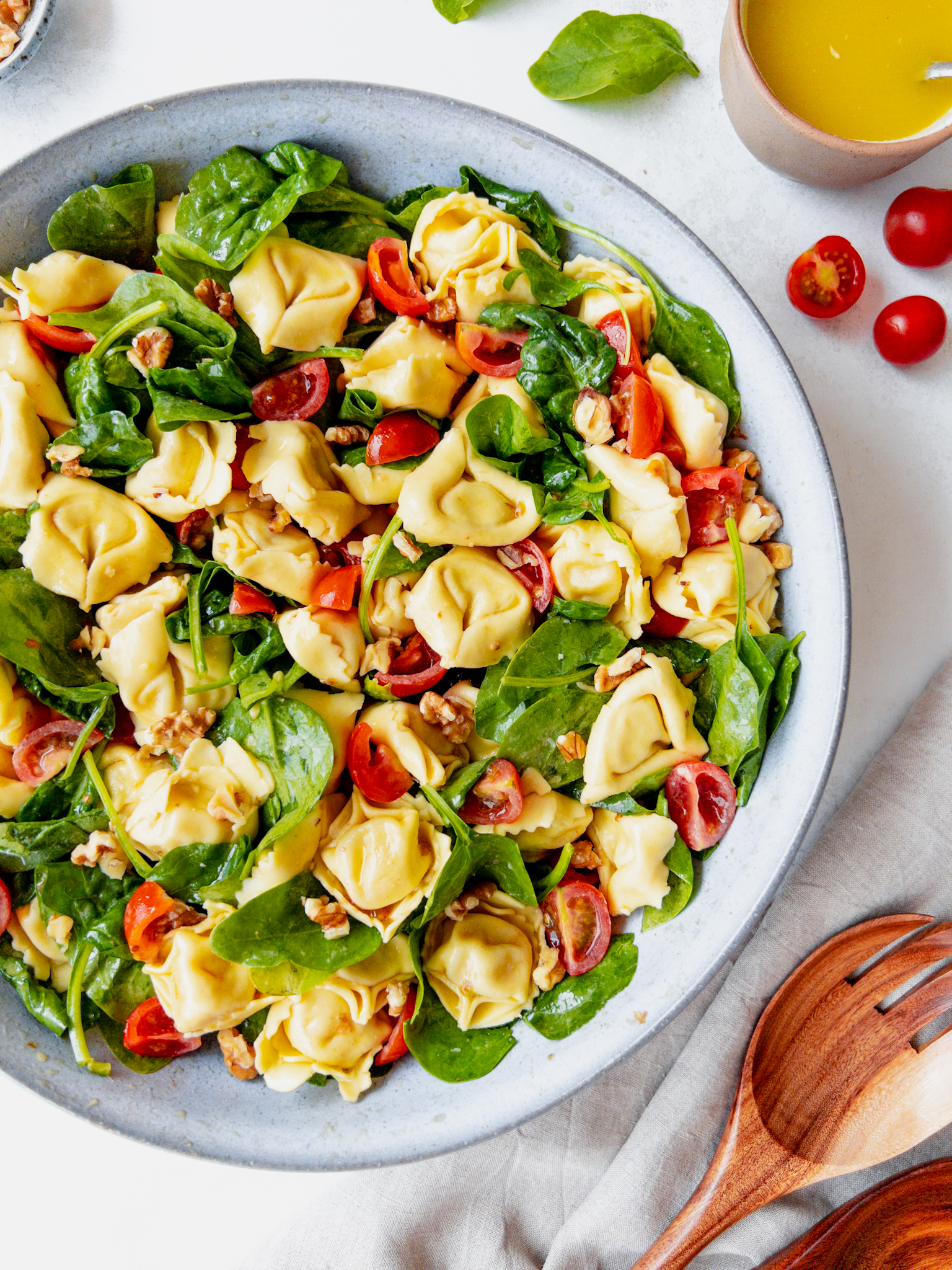 Cheese Tortelloni Pasta Salad - salad for fussy eaters