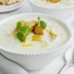 Slow Cooker Chicken and Leek Soup - family meals