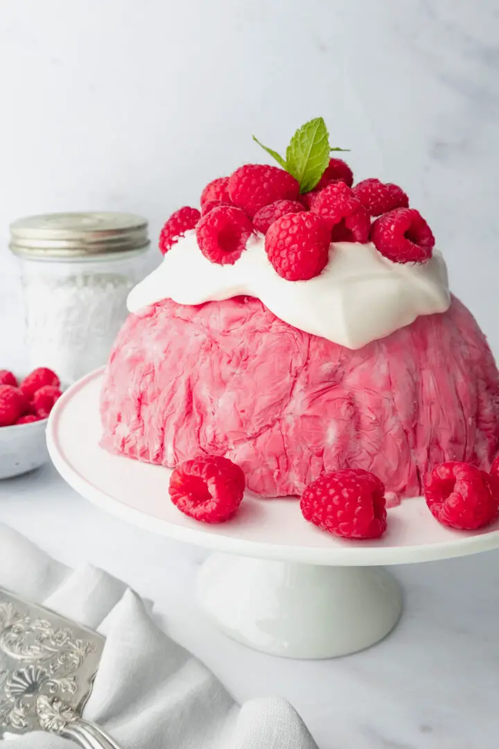 Raspberry Ice Cream Bombe